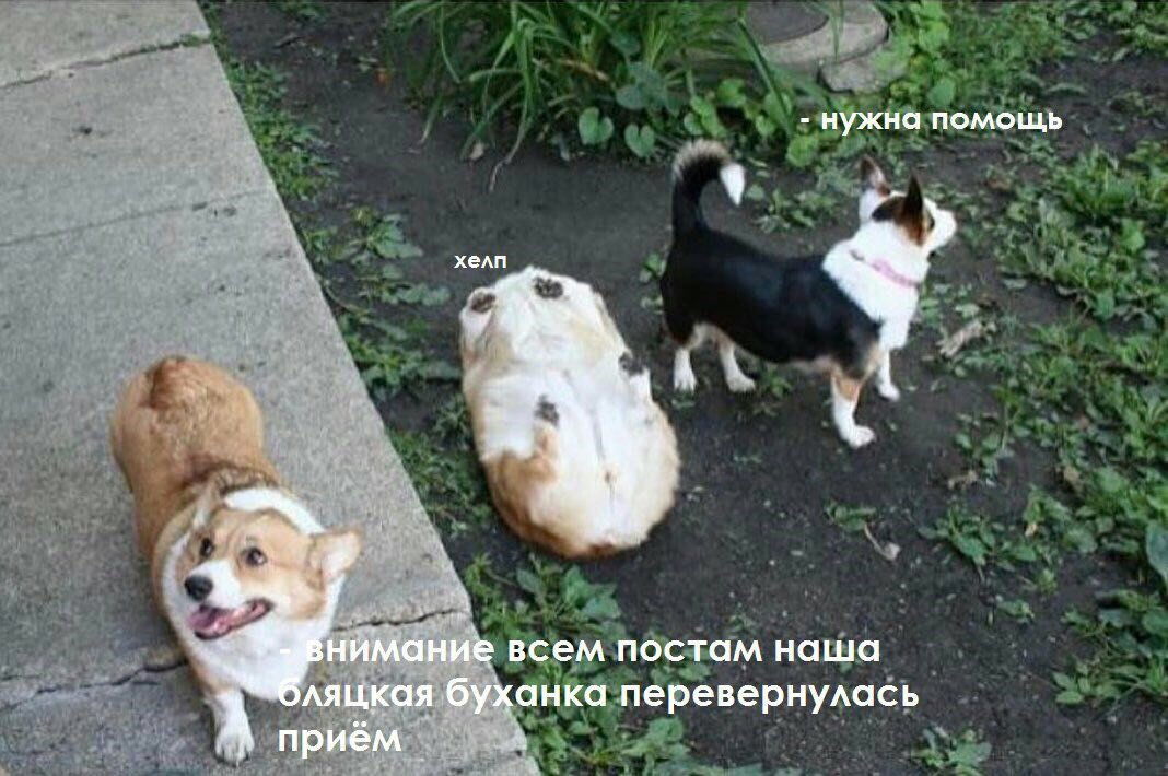 я не могу перестать смеяться