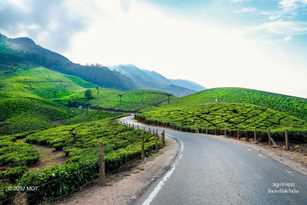 TrojanHoliday's tweet photo. Make a trip with your friends or family to munnar kerala
tour and Enjoy the beauty of Nature and feel Happy.
For more info:
Mob-011-42533333 https://t.co/lbcKYAl3RI