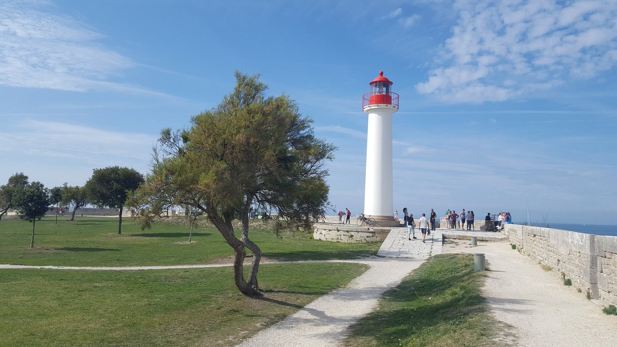 Grapevine Distribution tweet media