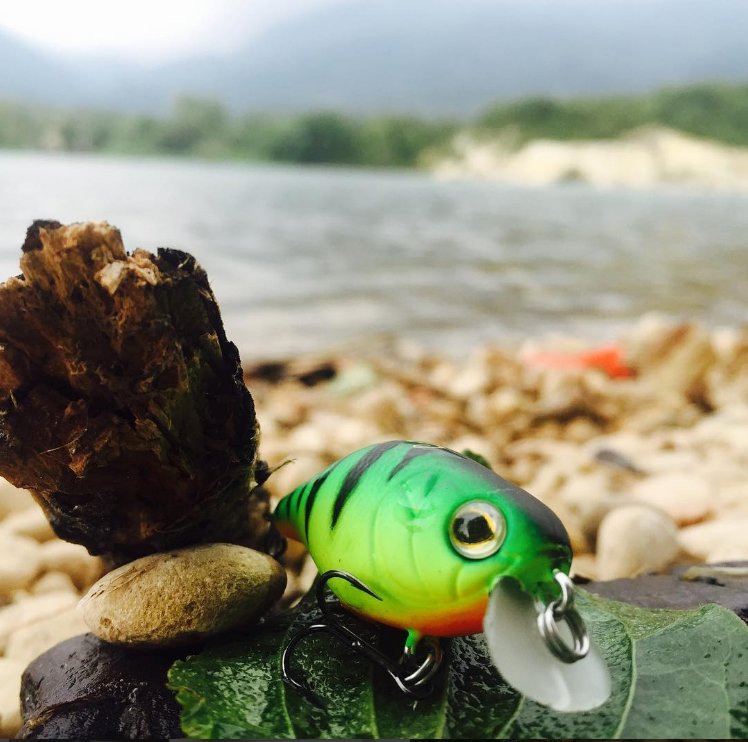 StrikePro2's tweet photo. @pescaguide #señuelosdepesca #pescadeportiva #hardlures #productosdepesca #fishing #fishingproducts #fishinglife #strikepro https://t.co/2drsi0BzyX