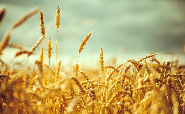 GnadeBlog's tweet image. Kommentar zu Losung 25.09.17 gnade.blog/2017/09/25/kom…