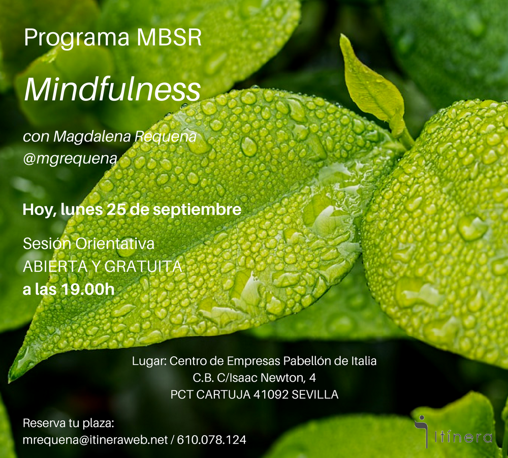ItineraWeb's tweet photo. Estás invitado/a hoy a la presentación IV edición del Programa de Reducción de Estrés basado en #Mindfulness (#MBSR) ¡Te esperamos! 😀😀 https://t.co/yId8ILXP0i