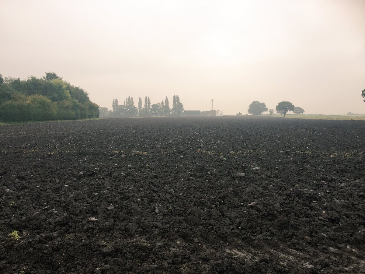 Freshly ploughed fields...#autumn #manchester #walk