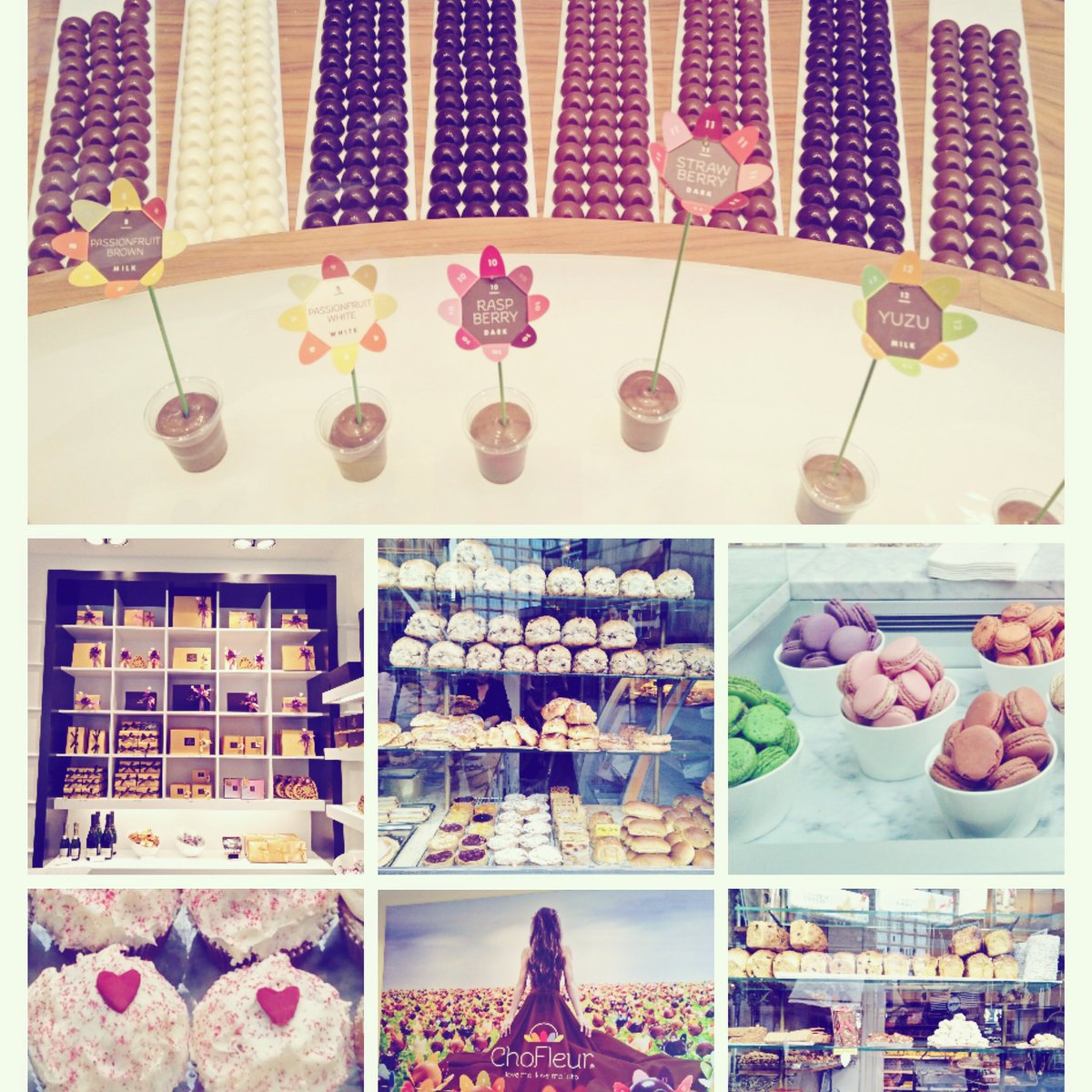 alpycat's tweet photo. Sweet Treats 😊 #chocolates #cupcakes #yummy #bakery #fresh #macaroons #Antwerp #Belgium #foodporn #traveldiaries #antwerpchocolates #bread https://t.co/Z4AzOXDOM4