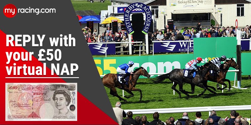 myracingtips's tweet photo. 🏆 VIRTUAL NAP 🏆
Get your selection for #VirtualNAP of the day in Ladies and Gentlemen 🙏
Just ONE horse you think CAN'T POSSIBLY LOSE! 🏇 https://t.co/HbbzJHhKHC