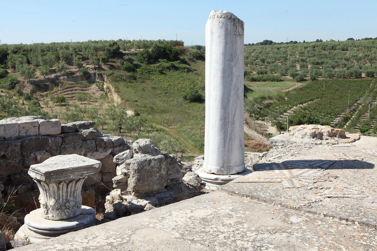 #Buongiorno da Canne della Battaglia - Antiquarium e Parco Archeologico #Barletta 
musei.puglia.beniculturali.it/musei?mid=4255…
#25settembre