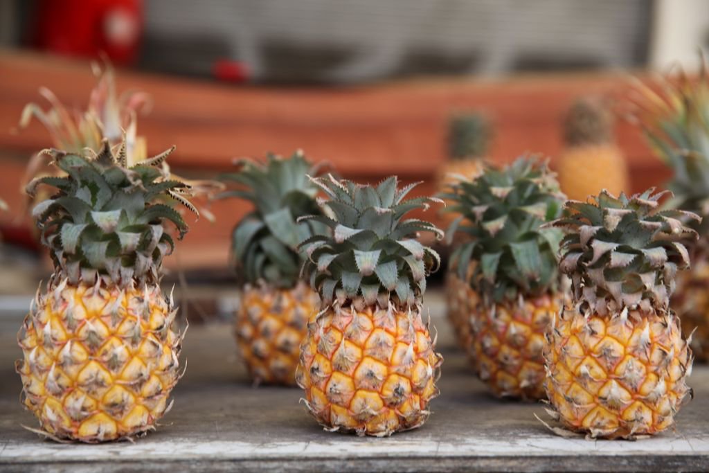 Taste the best of Tel Aviv on #marketmondays