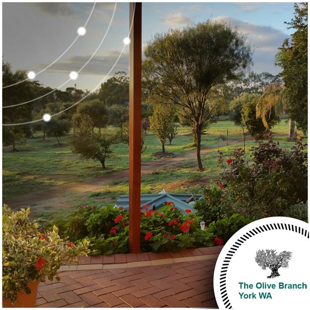 Olive Branch York (OliveBranchYork) Twitter