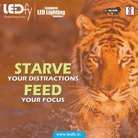 LedfyIndia's tweet photo. Prioritize and Focus on the task at hand. #LEDfy #MondayMotivation #SwitchToLEDfy https://t.co/M3sdFsAfNA