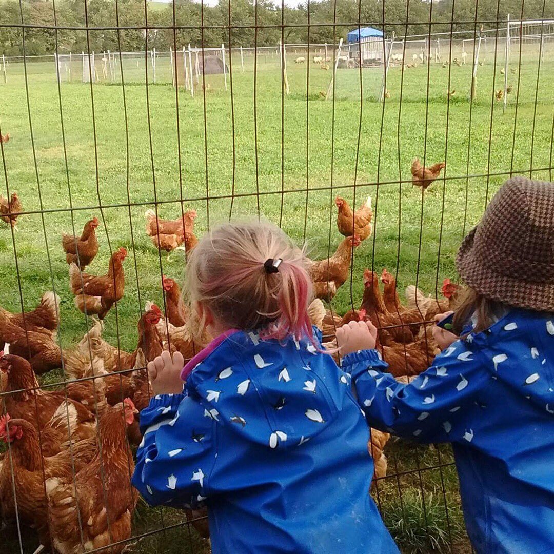 eco_preschool's tweet photo. Fantastic first week at #ECOPreschool #climbing #cycling #playing #corklike #cork96fm #ballymaloe https://t.co/OaNpGt4F9M