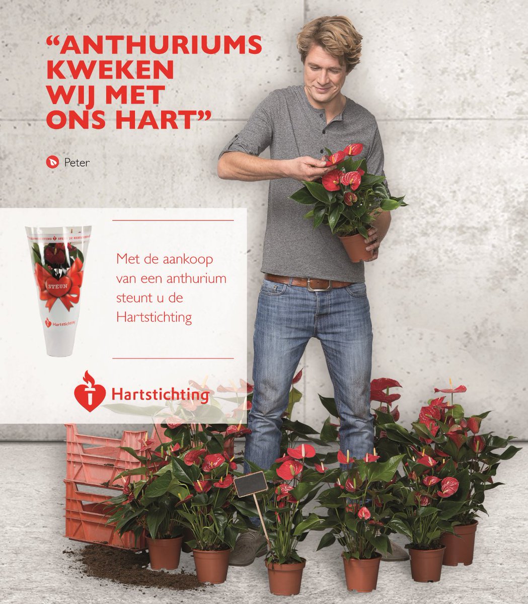 Morgen organiseren de anthuriumkwekers wederom een <a href="/Hartstichting/">Hartstichting</a> veiling! Jij steunt dit initiatief toch ook? ow.ly/Eb3p30foIe1