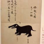 なんか凄いんだけど画力がゆるすぎる…ｗ『日本の幻獣図譜』のゆるい幻獣が愛おしすぎる!
