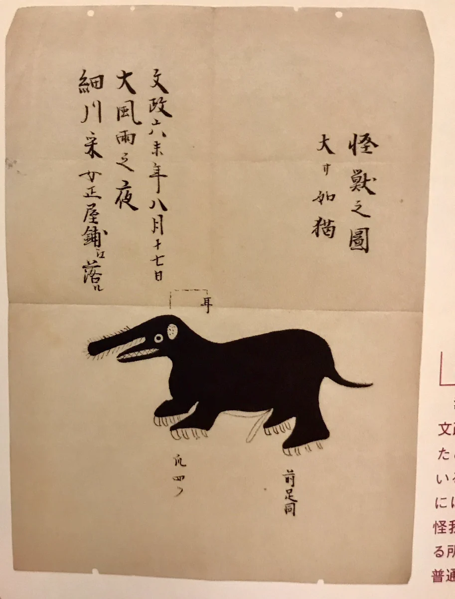 なんか凄いんだけど画力がゆるすぎる…ｗ『日本の幻獣図譜』のゆるい幻獣が愛おしすぎるｗｗｗ
