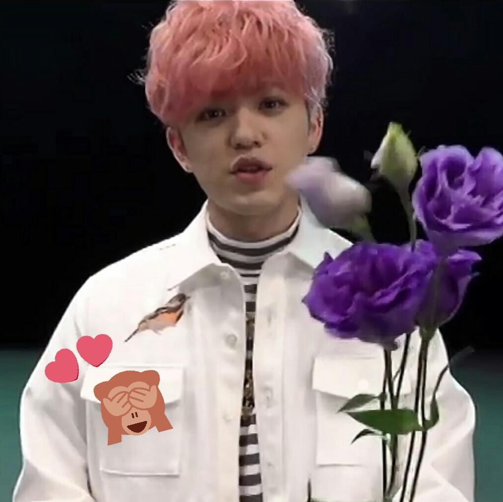 Syuuuuki a 秀ちゃんの髪みたいな こんなピンクに染めたいって最近めっちゃ思う 無理やから我慢するけど 今の髪色飽きてきたからピンク要素入れてもらうか悩み中 あー可愛いなぁもう a 末吉秀太 秀ちゃん ピンク T Co Syuuuuki a 秀ちゃんの髪みたいな こんなピンクに染めたいって最近めっちゃ思う 無理やから我慢するけど 今の髪色飽きてきたからピンク要素入れてもらうか悩み中 あー可愛いなぁもう a 末吉秀太 秀ちゃん ピンク T Co