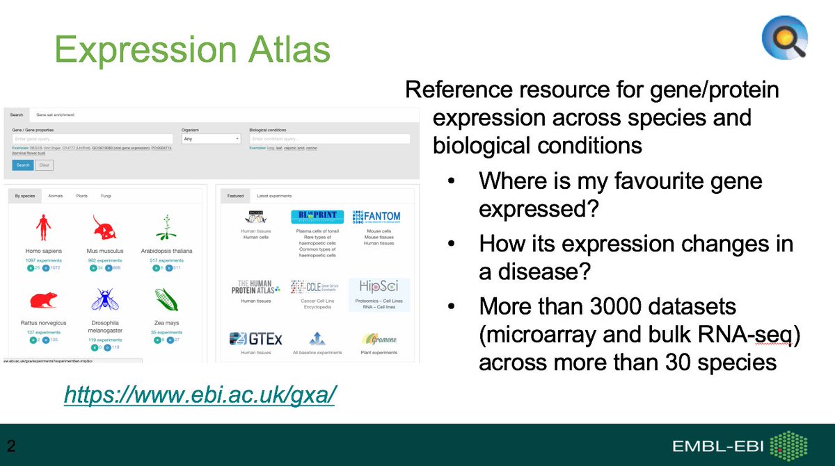 ExpressionAtlas's tweet image. We will be presenting @ExpressionAtlas at #BigData in Biology &amp;amp; Health this week @wellcomegenome #EWGbigdata Come and talk to us!