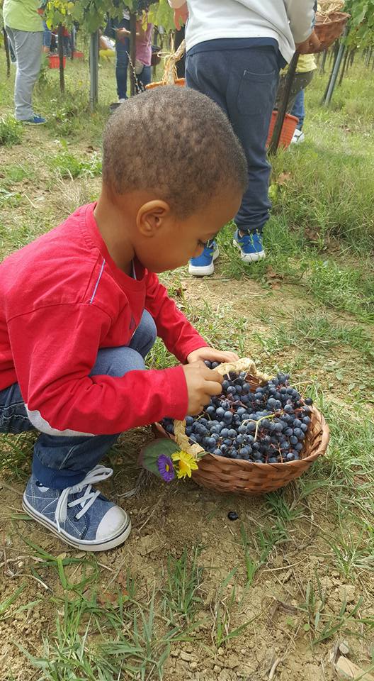 MTV_Italia's tweet photo. Piccoli vignaioli crescono da @TerreMargaritel in #Umbria! Grazie a @SapereFood per le bellisse foto di #CantineAperteVendemmia https://t.co/X2wmyNg0Yt