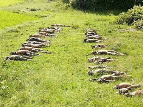 Poor Hindu woman, able to choose correctly  all her family members from the decaying dead bodies killed and buried by Bangalis.
