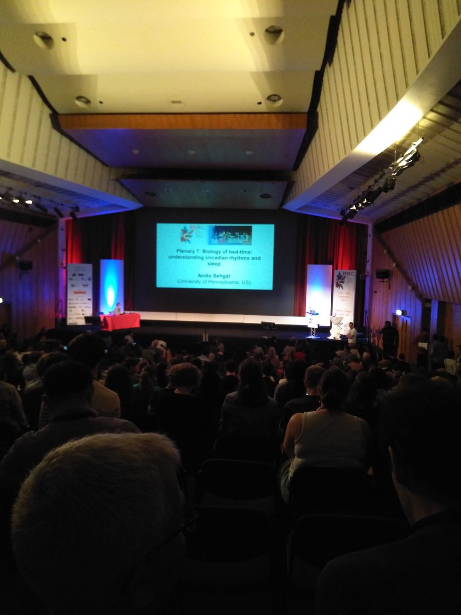 CajalFlyHub's tweet photo. Great #EDRC2017 is about to finish with the great contribution of Amita Sehgal on circadian rhythms and sleep https://t.co/gMOCe4FsyA