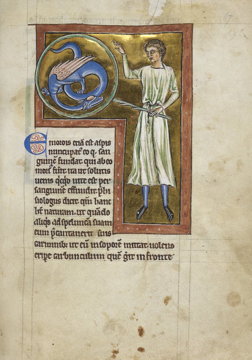 The British Library When You Match Your Tights With The Serpent You Ve Summoned Happybirthdayollivander This Man And Wand Is From A 13th Century Bestiary T Co T12oydhujj