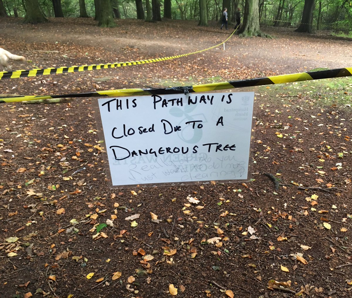 JohnOTheobald's tweet photo. Hampstead problems. #OldManWillow https://t.co/1t5Xy9GDoa