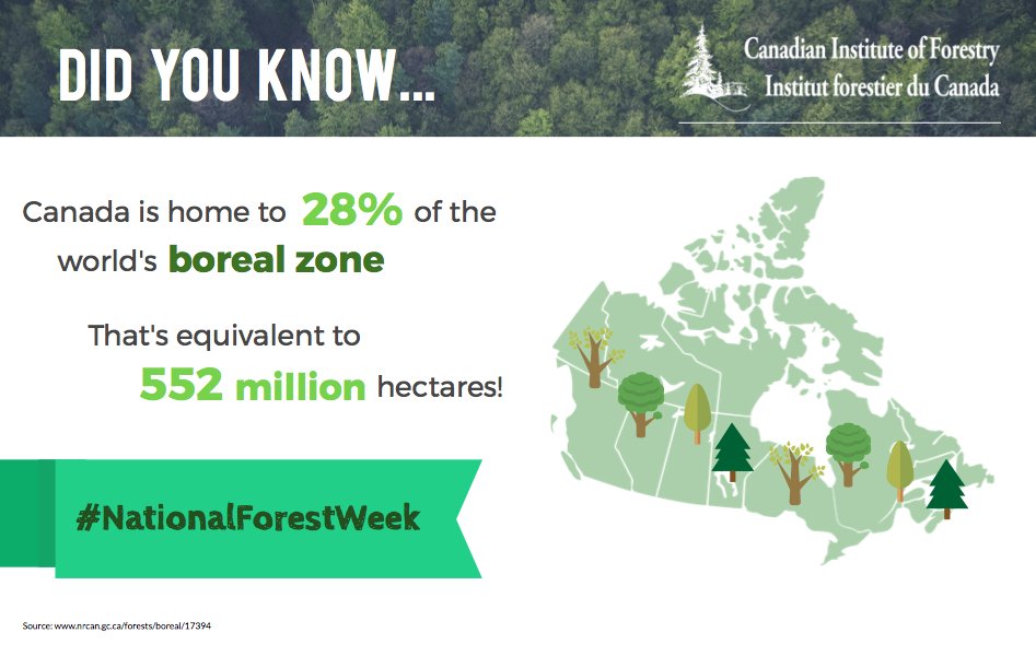 CIF_IFC's tweet photo. #NationalForestWeek 🌲🌳 #DYK Canada is home to 28% of the world's boreal zone? #Canada150 @NRCan https://t.co/uyoEXpF9NW