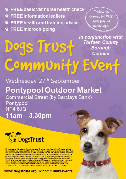 torfaencouncil's tweet image. The @DogsTrust will be in Pontypool Town Centre on Wednesday from 11 – 3:30 offering free micro-chipping &amp;amp; basic health checks. Please RT