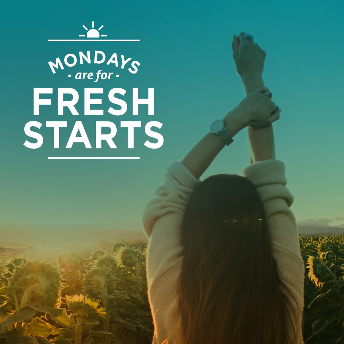 Mondays are perfect for new goals and new beginnings. #monday #mondays