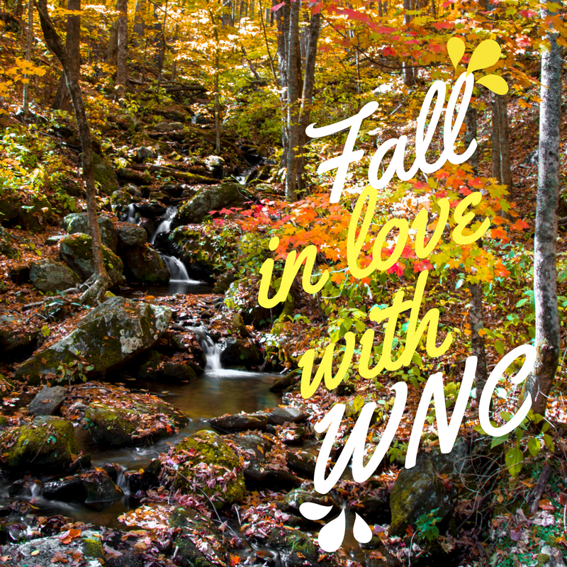 allentateWNC's tweet photo. #FallinLovewithWNC #MondayMotivation https://t.co/okAOqdZpT0