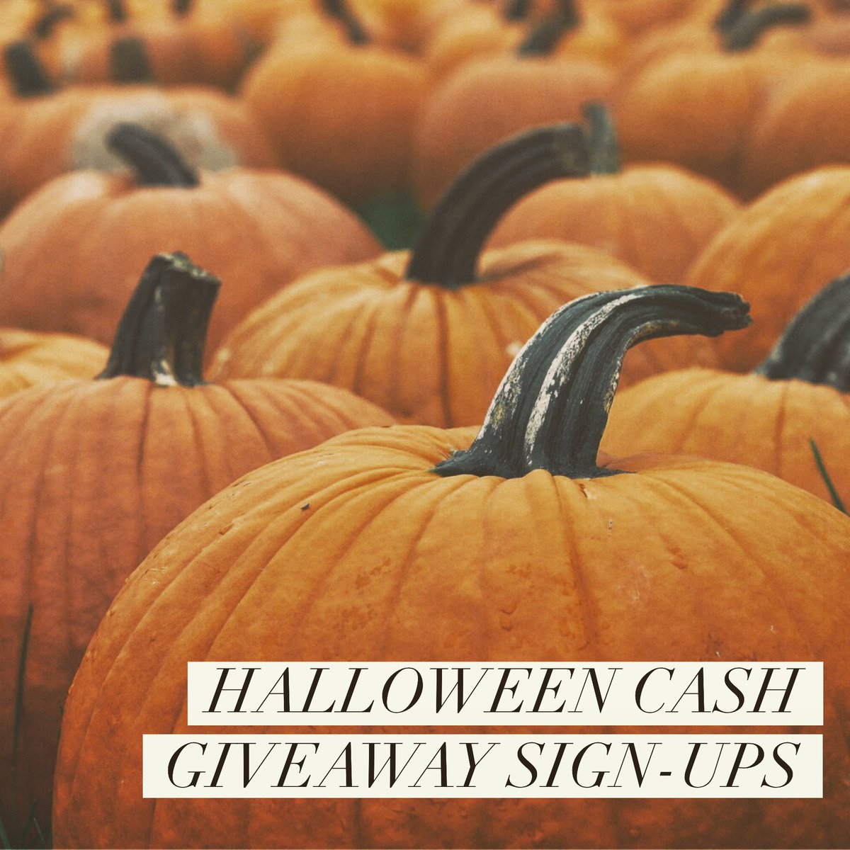 Good morning bloggers! You're invited to join us for the Halloween Cash Giveaway! More info: bit.ly/HalloweenCashS…