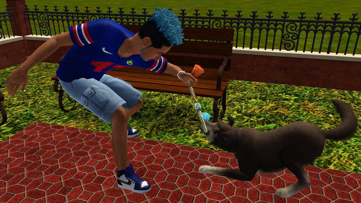 SimmerShymamii's tweet photo. Can't wait for this in the Sims 4!!! #TheSims4CatsAndDogs #TheSims3Pets #DogLover #CatLover😍 https://t.co/e9S1fYIrUW