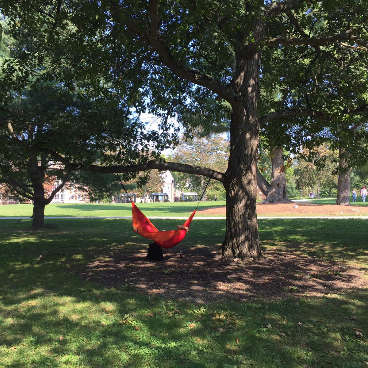 It's a beautiful day to hang out in the trees (while between classes) here at UNH. #RMPeople #UNH #RMP