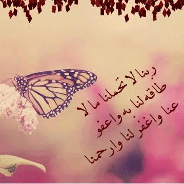 RehlatAlrahal's tweet photo. 💫 ما احواجنا الى هذا الدعاء 💫 https://t.co/HfgVmi9bG3