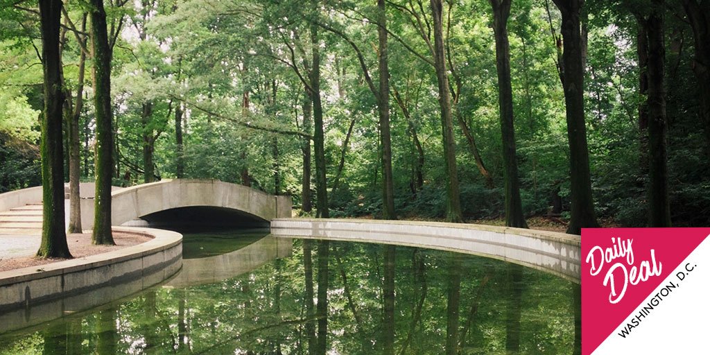 MarriottBonvoy's tweet photo. Earn 2,500 bonus points in #DC + relax with a wander through the woods on Theodore Roosevelt Island: https://t.co/lleEj65JN0 #DailyDeal https://t.co/K9nudK8lm6