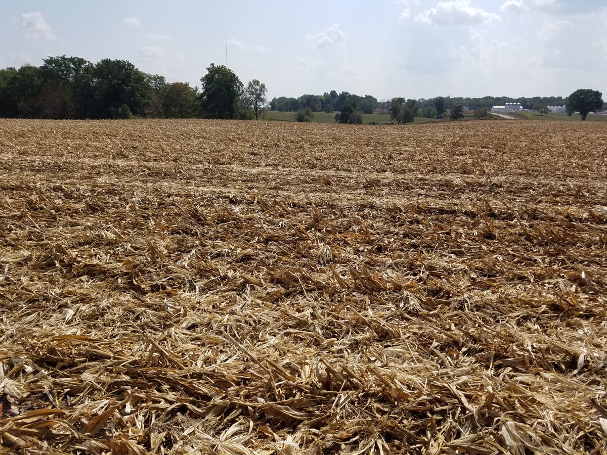 AGandythompson's tweet photo. Corn harvested 1 week ago illustrates significance of @YetterFarmEquip #devastator is enhanced residue decomposition from crimped stalk. https://t.co/SlTBMGk4Du