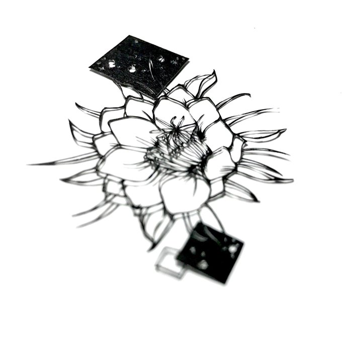 月下美人のtwitterイラスト検索結果