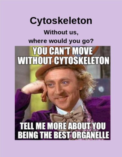 Skeleton_Cyto_7's tweet photo. @murphyapbio Election day today! Remember that Eukarya can only go somewhere because of us, vote Cytoskeleton and we'll keep moving forward! https://t.co/rw0Z8neQY7