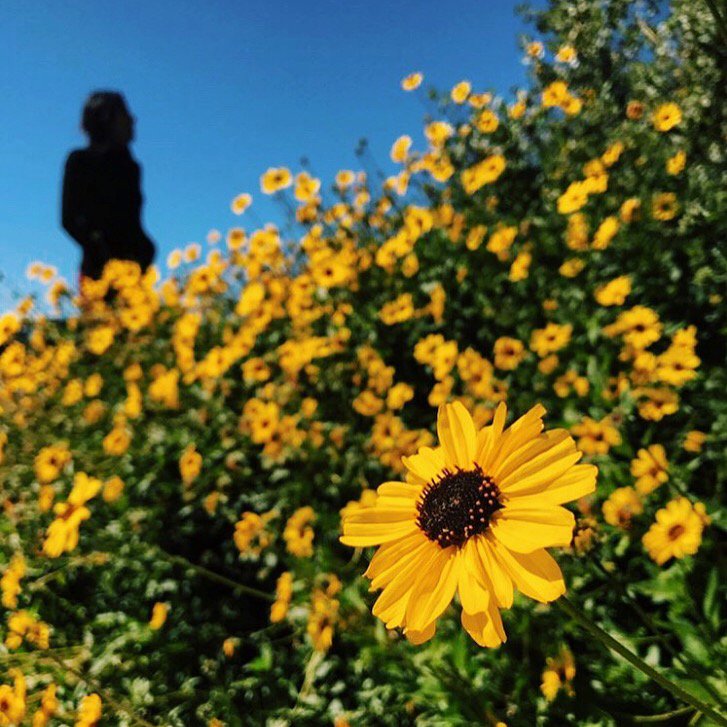 ReduceReuseGrow's tweet image. May we always leave the earth a little better than how we found it 🍃🌎🌼🌱
#bepartofthesolutionnottheproblem #reducereusegrow #sustainability
