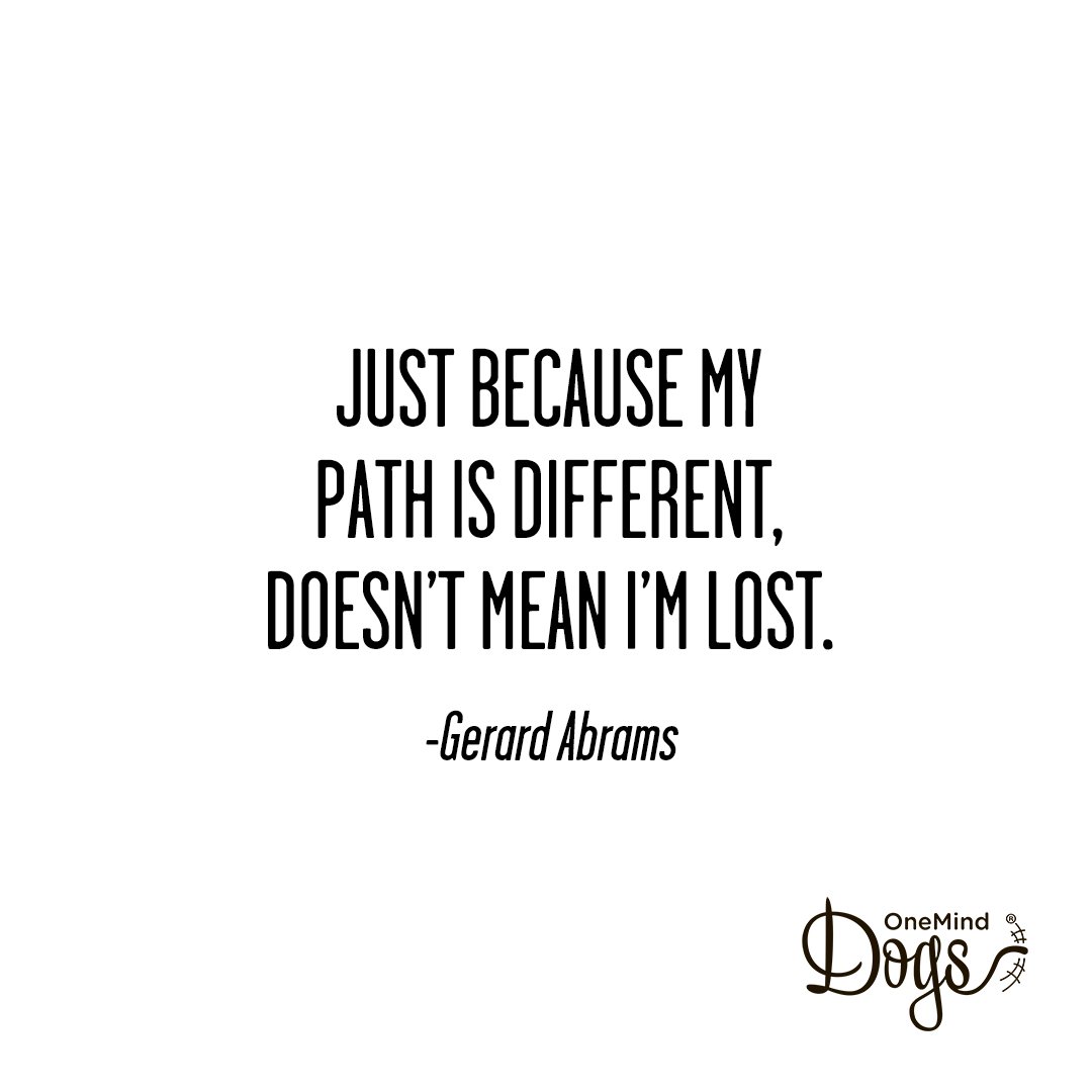 OneMindDogs's tweet photo. Which path will you take first on your OneMind Dogs journey? #omdpack #oneminddogs https://t.co/quVshvyie6 https://t.co/9fIdj9dfKB