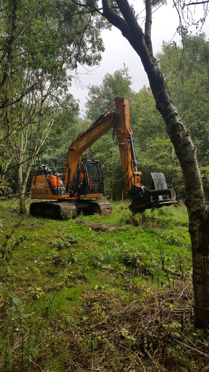 GC_Arb's tweet image. #treeshear #case # deveg @Excav8