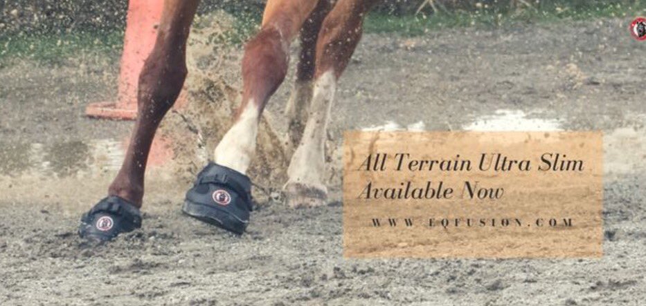 catsevents's tweet photo. #EquineFusion #ComfortHoofs 
#nometal #flexiblesole 
#joggingshoe https://t.co/bLopZrdUMb