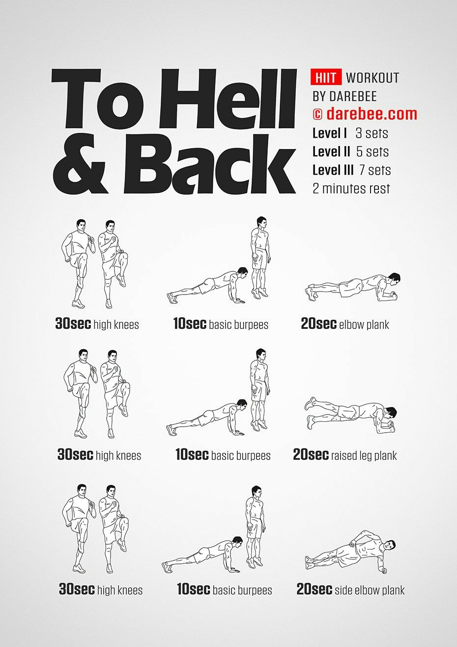 6 Day Darebee Back Workout for Gym