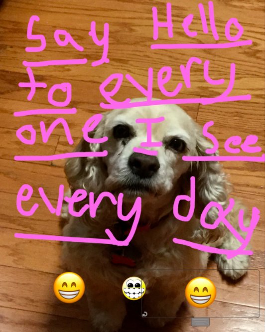 MrMarkGarner's tweet image. #LMSOneSmallThing #OneSmallThing @LexingtonMiddle