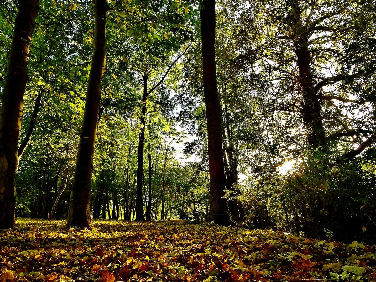 Severine Lienard Si Apaisante Nature Merci Yann Sweetevening Everyone T Co C16re4ickl