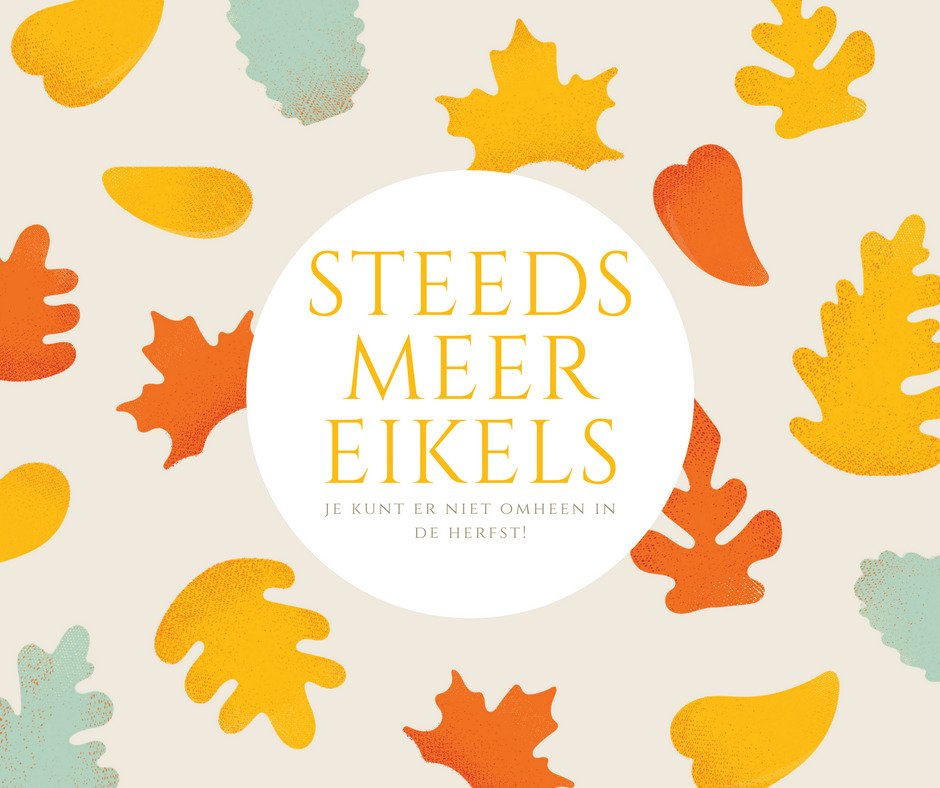 BenvanNorel's tweet photo. Mijn eerste advertentie opgemaakt in CANVA...ben er trots op! https://t.co/4wHsLFmVAb