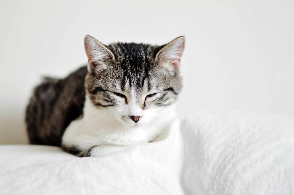 pls share this with picture someone who really needs a nap right now. 
feel free to share it with yourself