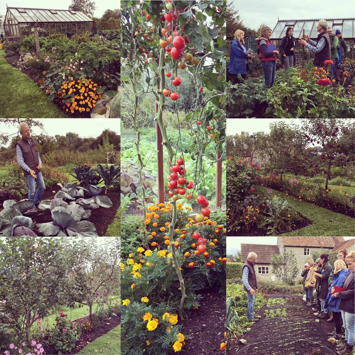 Mad About Soup tweet media