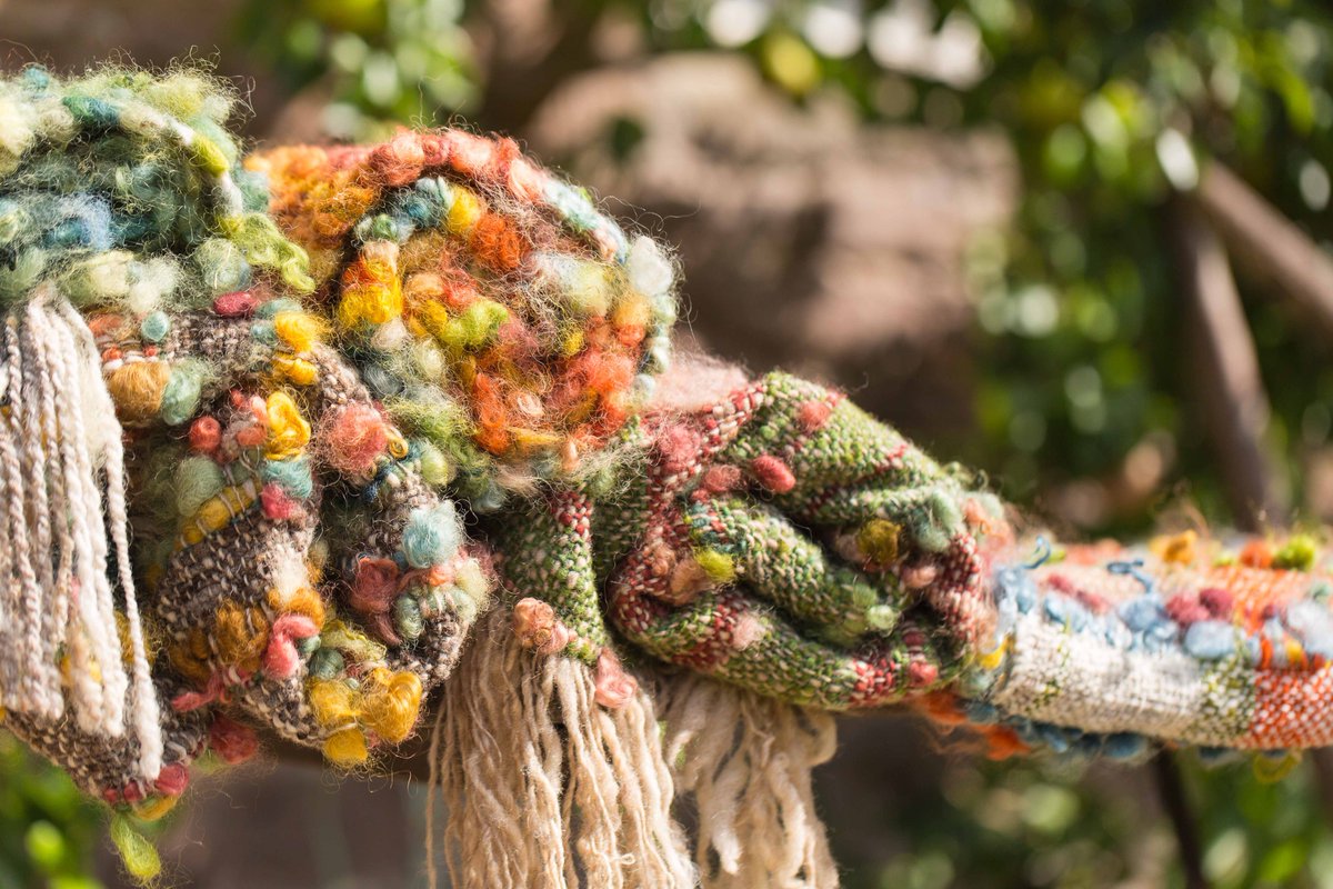 LydiaBoothPhoto tweet media