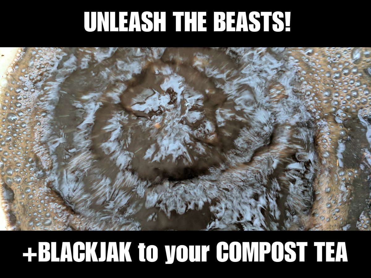 Don't forget to boost your microbial Soil innoculant with some added BlackJak get some in our shop: 
shop.soilhub.international