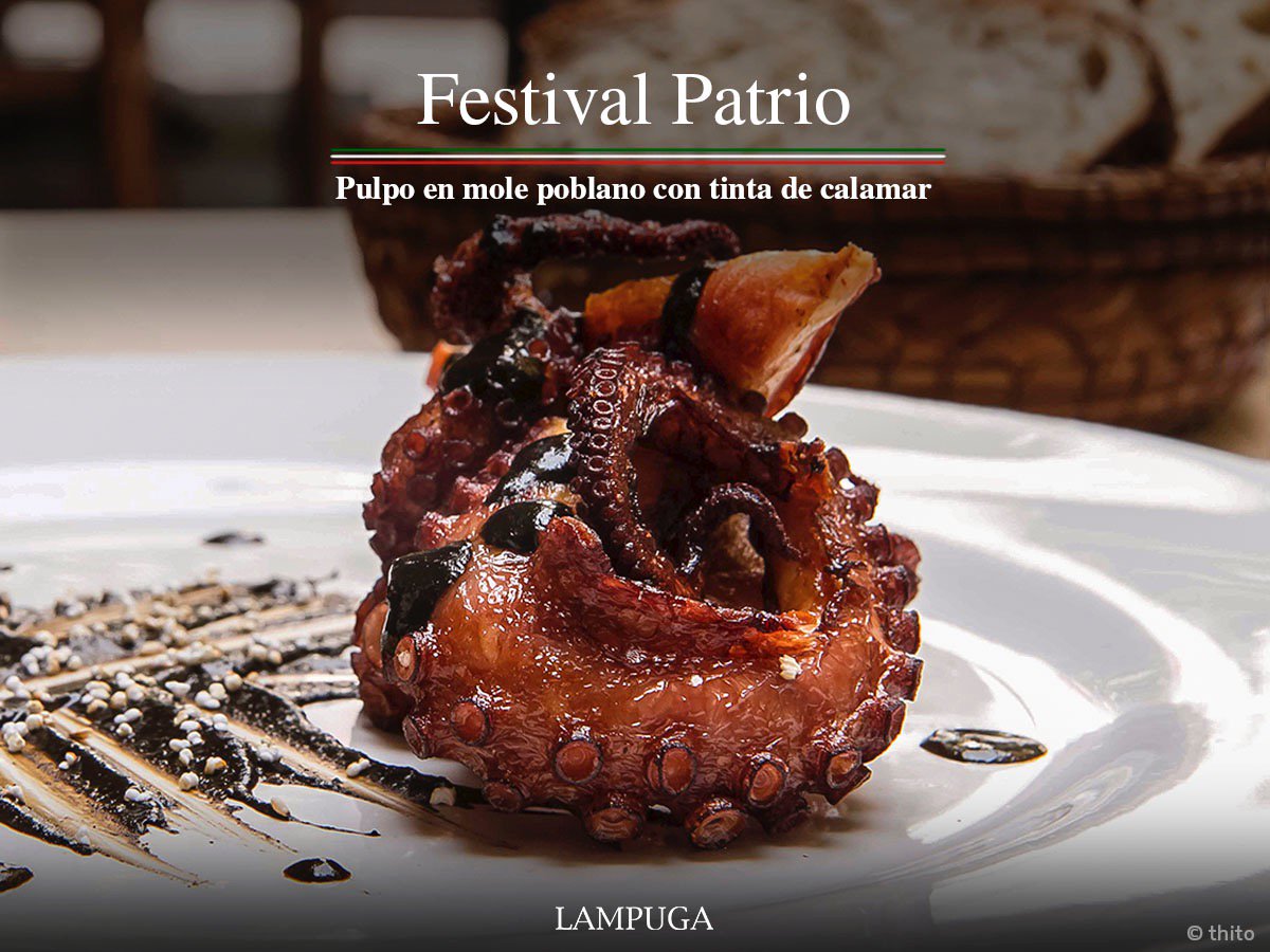 El #FestivalPatrioLAMPUGA trae para ti:
PULPO EN MOLE POBLANO CON TINTA DE CALAMAR
Reserva en lampuga.com.mx
#FelizLunes