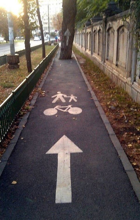 YardProduct's tweet image. Good luck with that! #landscapinghumor #gardeninghumor